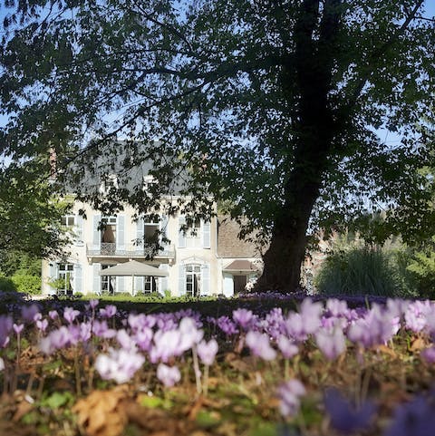 Breathe in the fresh air of the large garden