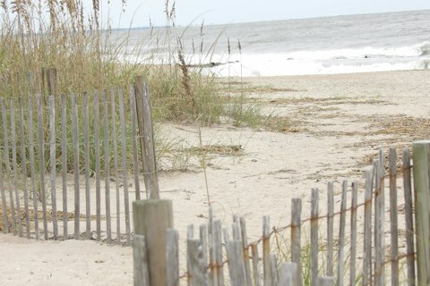 Enjoy laid-back beach days on Edisto Island