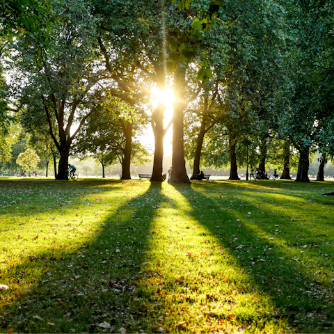 Savour leisurely afternoon strolls through Hyde Park