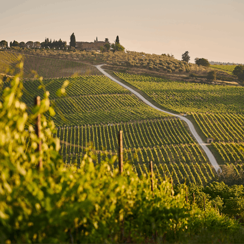 Stay within walking distance of the quaint Tuscan village of Lano
