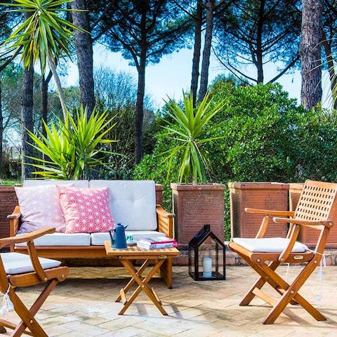 Enjoy magical evenings in the gardens surrounded by trees