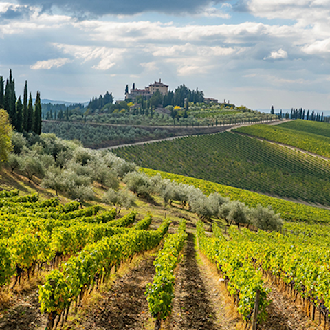 Take a scenic drive to the hilltop town of Radda