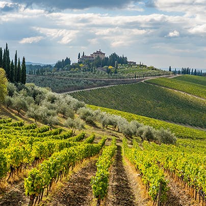 Take a scenic drive to the hilltop town of Radda