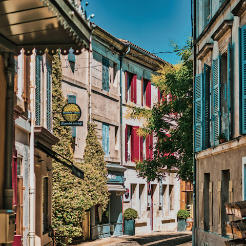 Make the 2km drive to Saint-Rémy-de-Provence