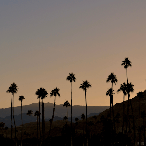 Stay in the heart of Palm Springs, within striking distance of stunning Tahquitz Canyon