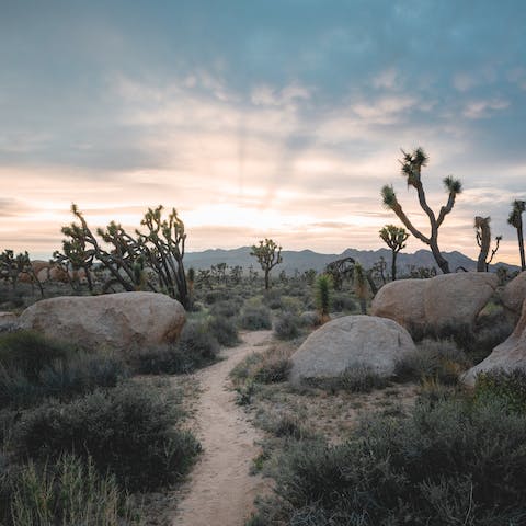 Hit the hiking trails of Joshua Tree National Park, a twenty-minute drive away