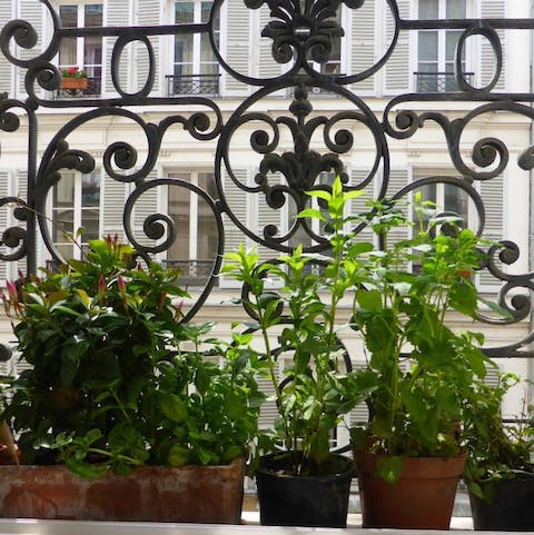 Pick some herbs from the indoor garden and make the perfect Cassoulet