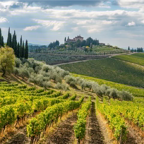 Enjoy a stroll through the fields of Radda in Chianti, just a short drive away