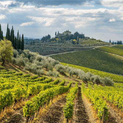 Enjoy a stroll through the fields of Radda in Chianti, just a short drive away