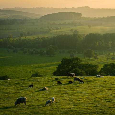 Amble through the High Weald AONB, or stay closer to home and explore the woodlands and grounds