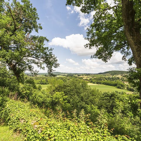 Explore the lush landscapes by hiking thirty minutes to the town of Trémolat