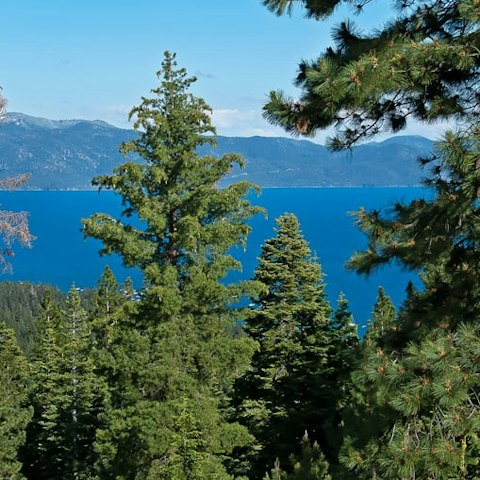 Take in the stunning views of the lake
