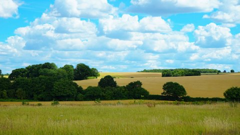 Explore the Chiltern Hills' sweeping chalk escarpments and ancient woodland