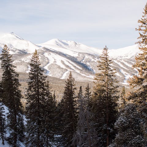 Adventure into the majestic mountains of Colorado