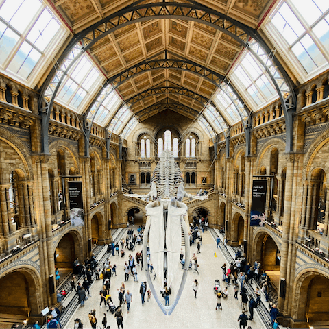 Spend hours wandering through the fascinating exhibits in the Natural History Museum, under a mile from the home