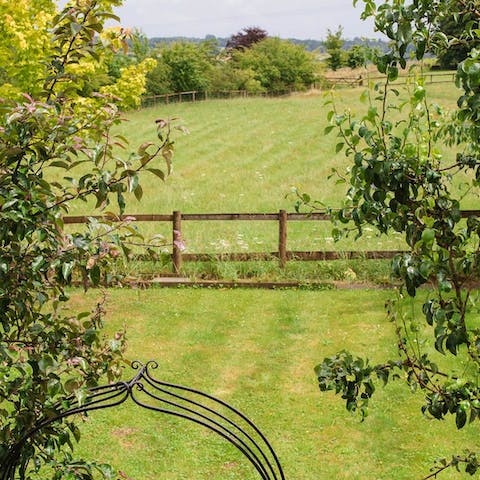 Enjoy views across the classic English countryside