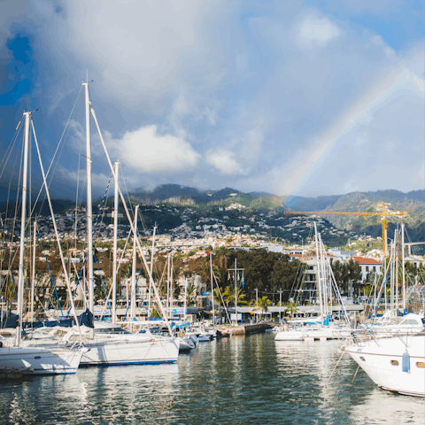 Stroll along the seaside promenade to Funchal marina