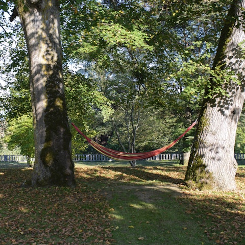Swing on the hammock in speckled sunlight