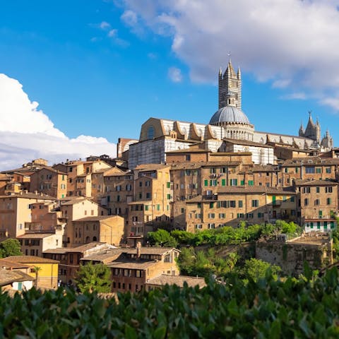 Explore the Medieval hilltop city of Siena – a forty-five-minute drive away