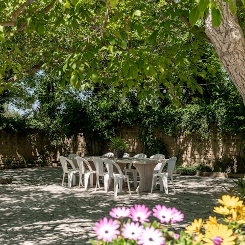 Gather for delicious Italian meals served on the terrace