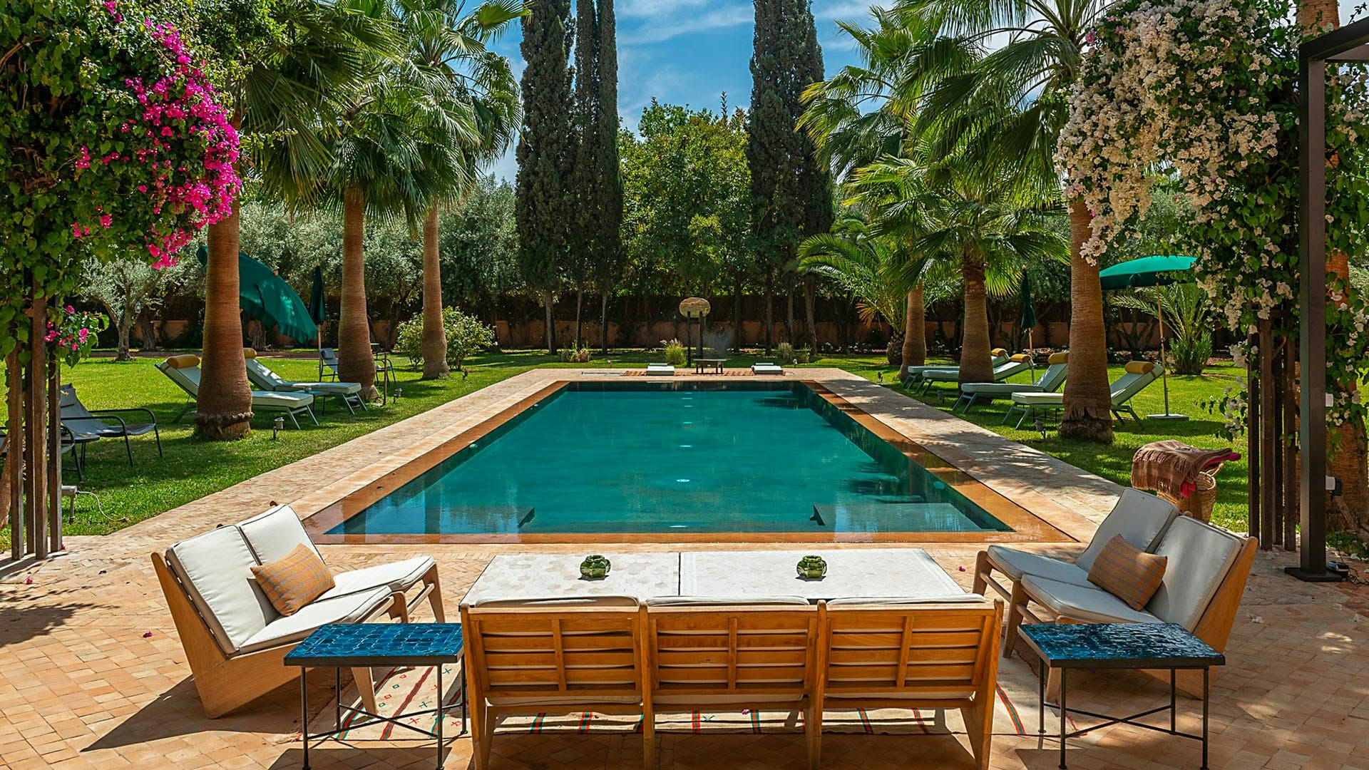 Oasis of Tranquility