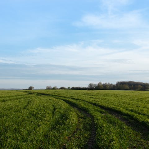 Enjoy the beauty of the Kent Downs, a thirty-minute drive away