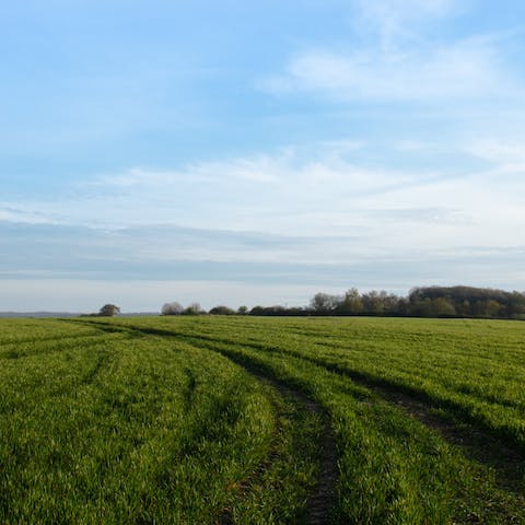 Enjoy the beauty of the Kent Downs, a thirty-minute drive away