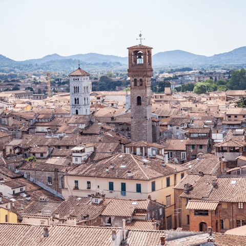 Explore cultural Lucca, including the lively Piazza dell'Anfiteatro nearby
