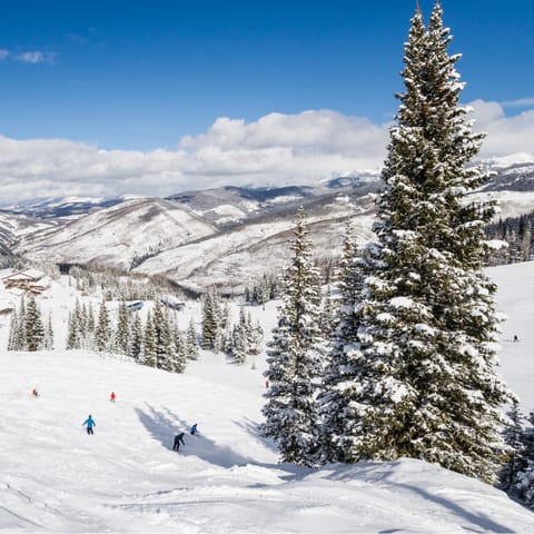Hit the slopes, just ten yards away