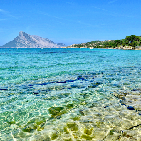 Take a day trip from Porto San Paolo to the island of Tavolara