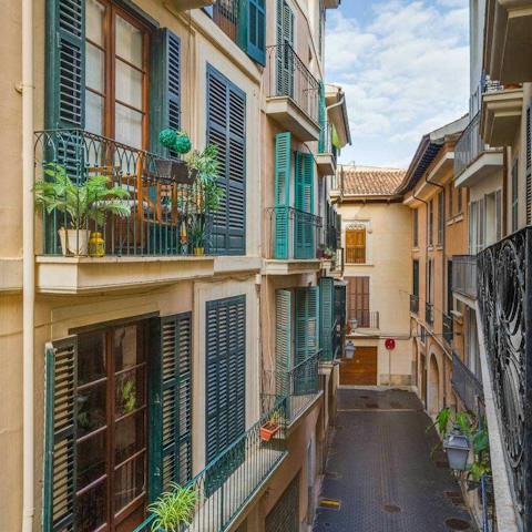 Take in the views of the neighbourhood