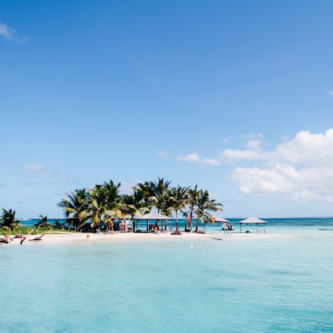 Swim in the turquoise waters of Turtle Bay