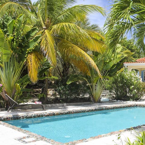 Doze in the shade of palm trees by the pool