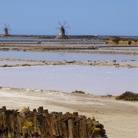Explore the salt pans and historic windmills of Trapani