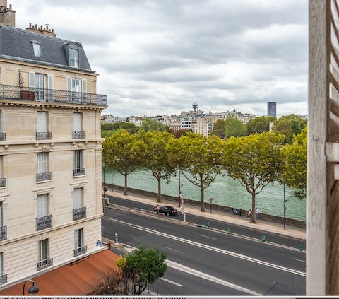 Views of the River Seine below