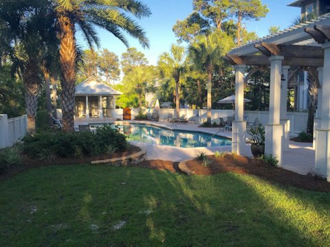 Cool off in the shared pool ringed by palm trees