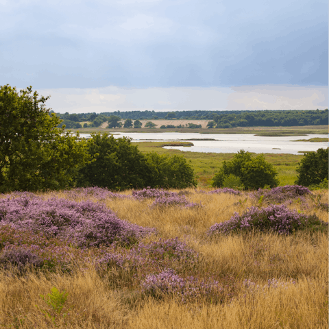 Explore the spellbinding Suffolk Coast & Heaths Area Of Outstanding Natural Beauty