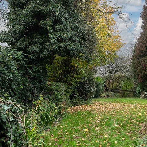 Enjoy the greenery of the pretty garden