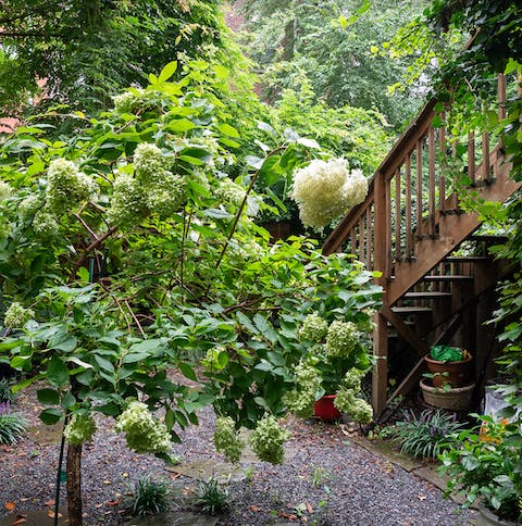 The vibrant garden
