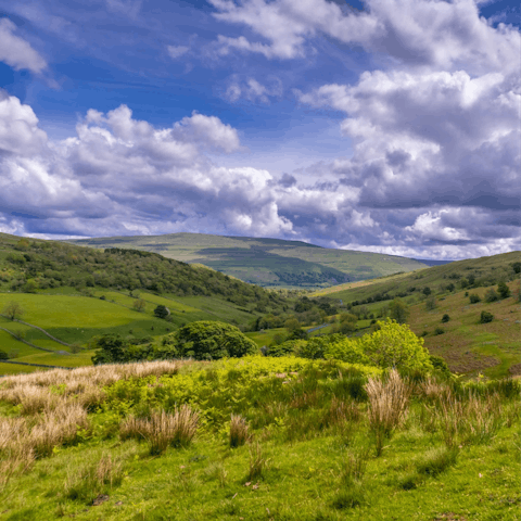 Explore the striking beauty of the Yorkshire Dales National Park, just half an hour away by car