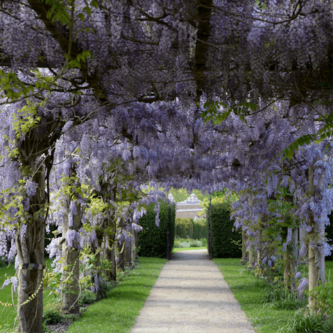 Spend a sunny afternoon strolling through Trent Park
