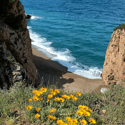 Discover the quaint fishing village of Sa Riera, home to beautiful beaches