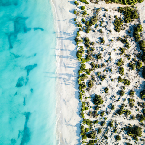 Wander the pristine beaches dotted around Turks and Caicos