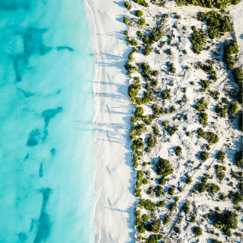 Wander the pristine beaches dotted around Turks and Caicos