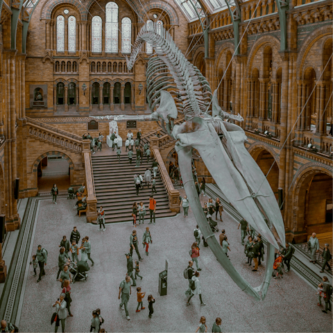 Hop on the Tube to the museums of South Kensington