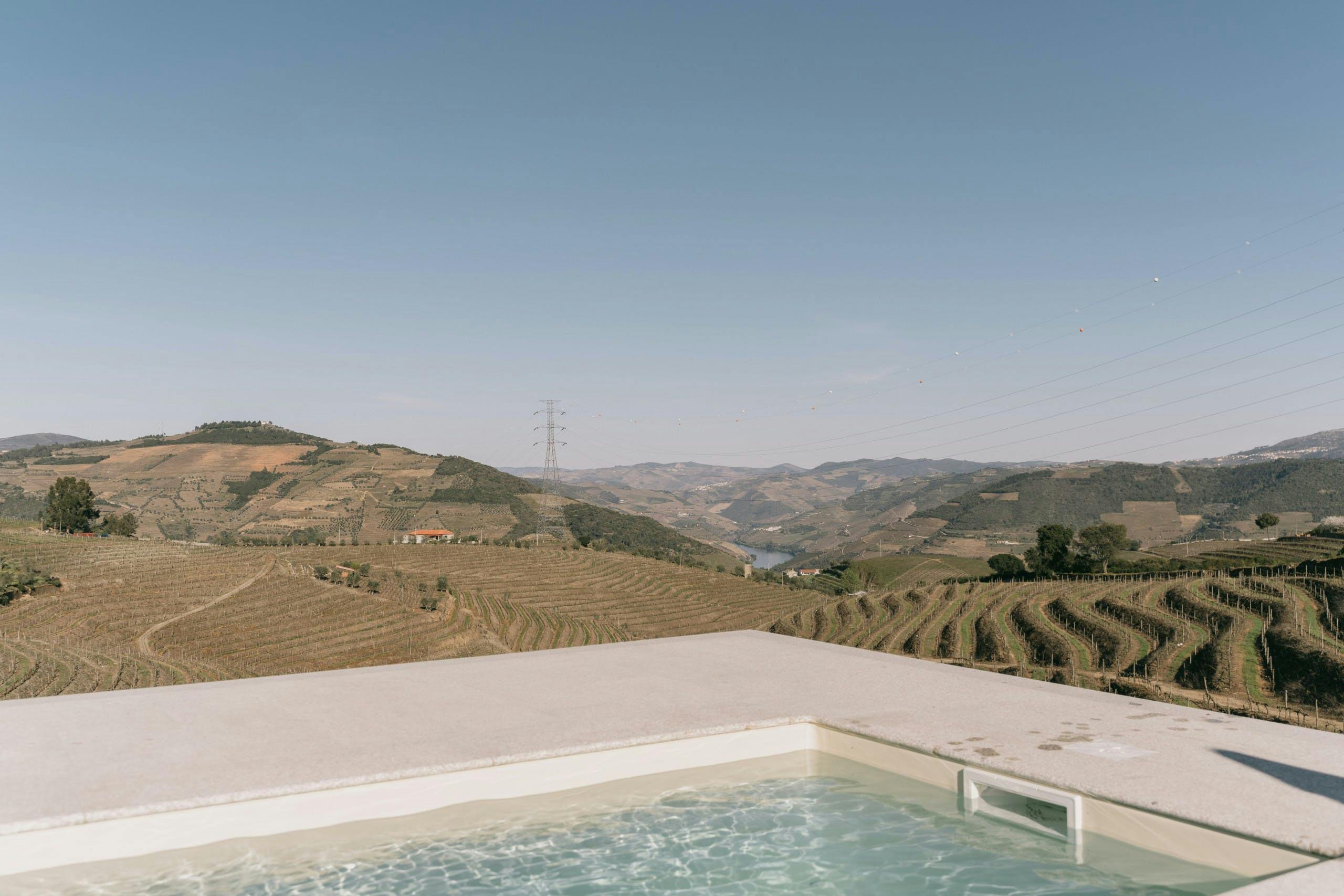 Where the Flowers Bloom