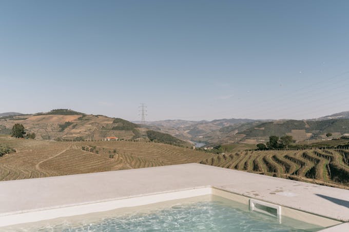 Where the Flowers Bloom