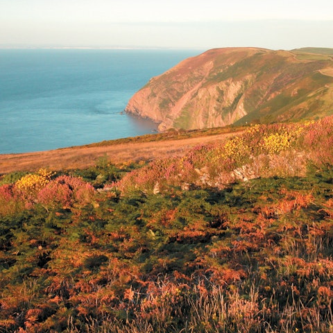 Hike along some of the highest sea cliffs in the country – Holdstone Down is approximately 5 miles away