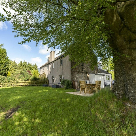 Listen to birdsong with a morning cuppa in the garden