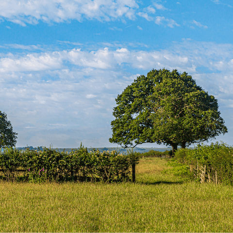 Embark on long walks through the Wiltshire countryside from your scenic location